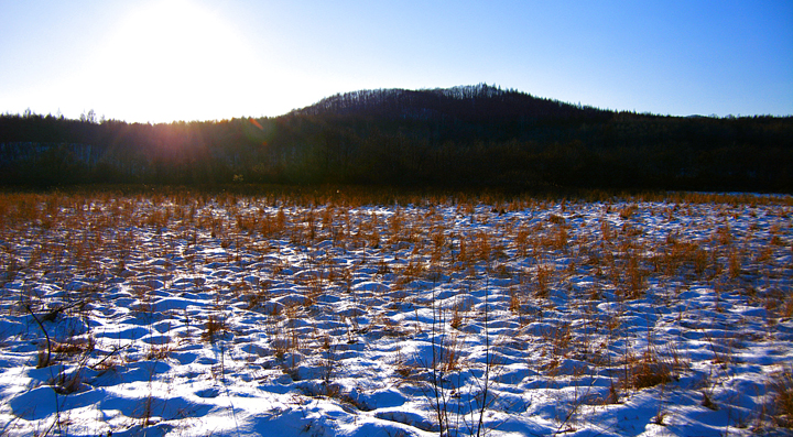 DSC_0241_HZP.jpg