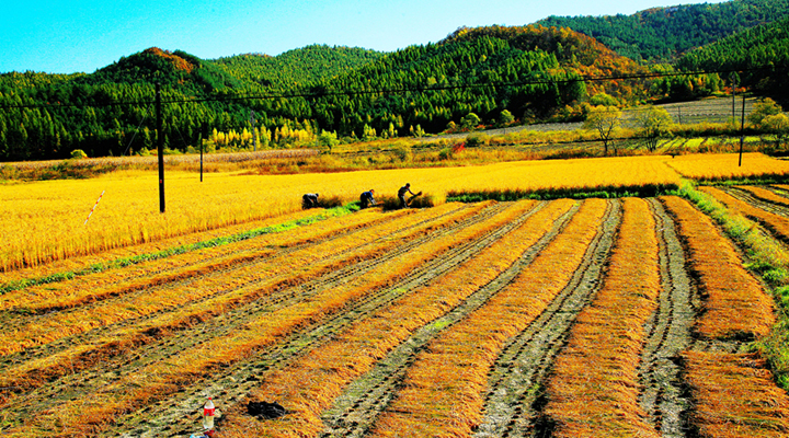 image001.jpg