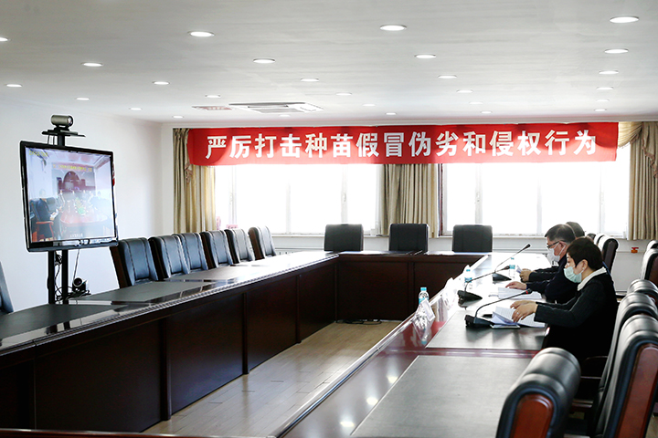 XCB_4464.jpg