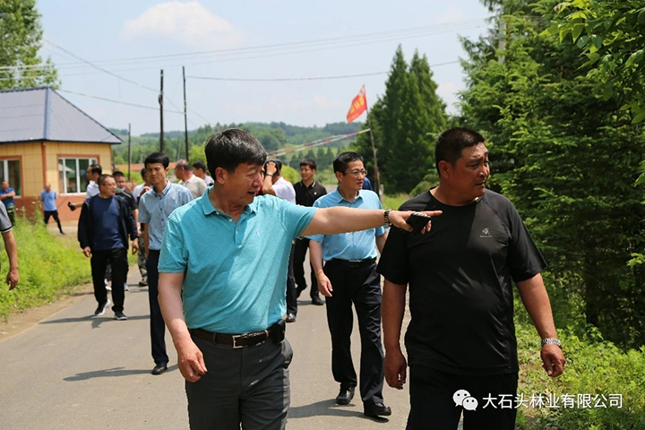 05集团公司副总裁张玉华现场指导人居环境整治工作.jpg