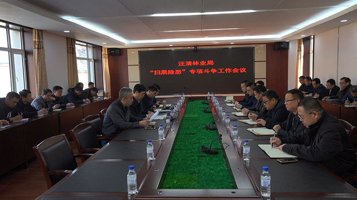 汪林召开扫黑除恶会议.jpg