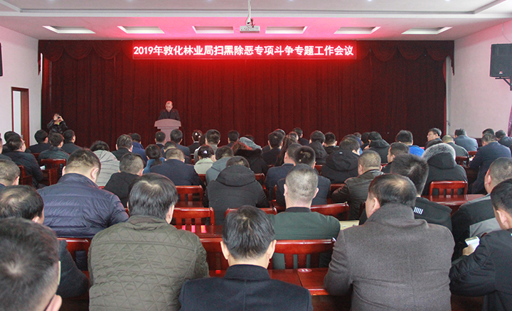 敦林扫黑除恶.jpg