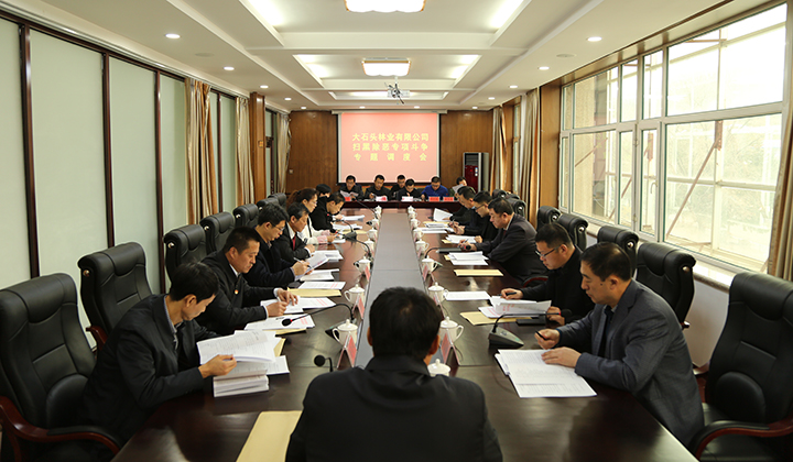 大石头林业有限公司扫黑除恶专项斗争工作专题调度会1.jpg