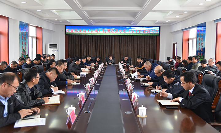 1-珲春林业有限公司扫黑除恶专项斗争工作推进会.jpg